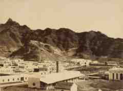 ���� ������ ��� ��� ����